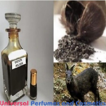 Our impression of Deer Musk Abdul Samad Al Qurashi Unisex Concentrated Premium Perfume Oil (009002) Premium